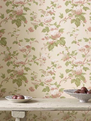 Colefax and Fowler Tapet