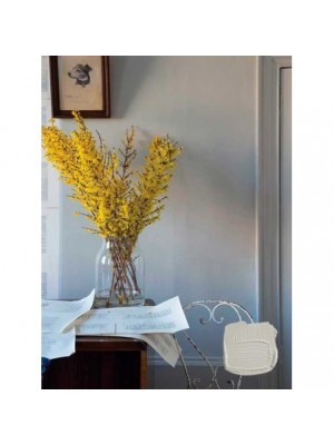 Farrow and Ball - Purbeck Stone miljø