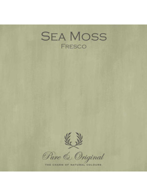 Pure & Original - Sea Moss - Fresco kalkmaling
